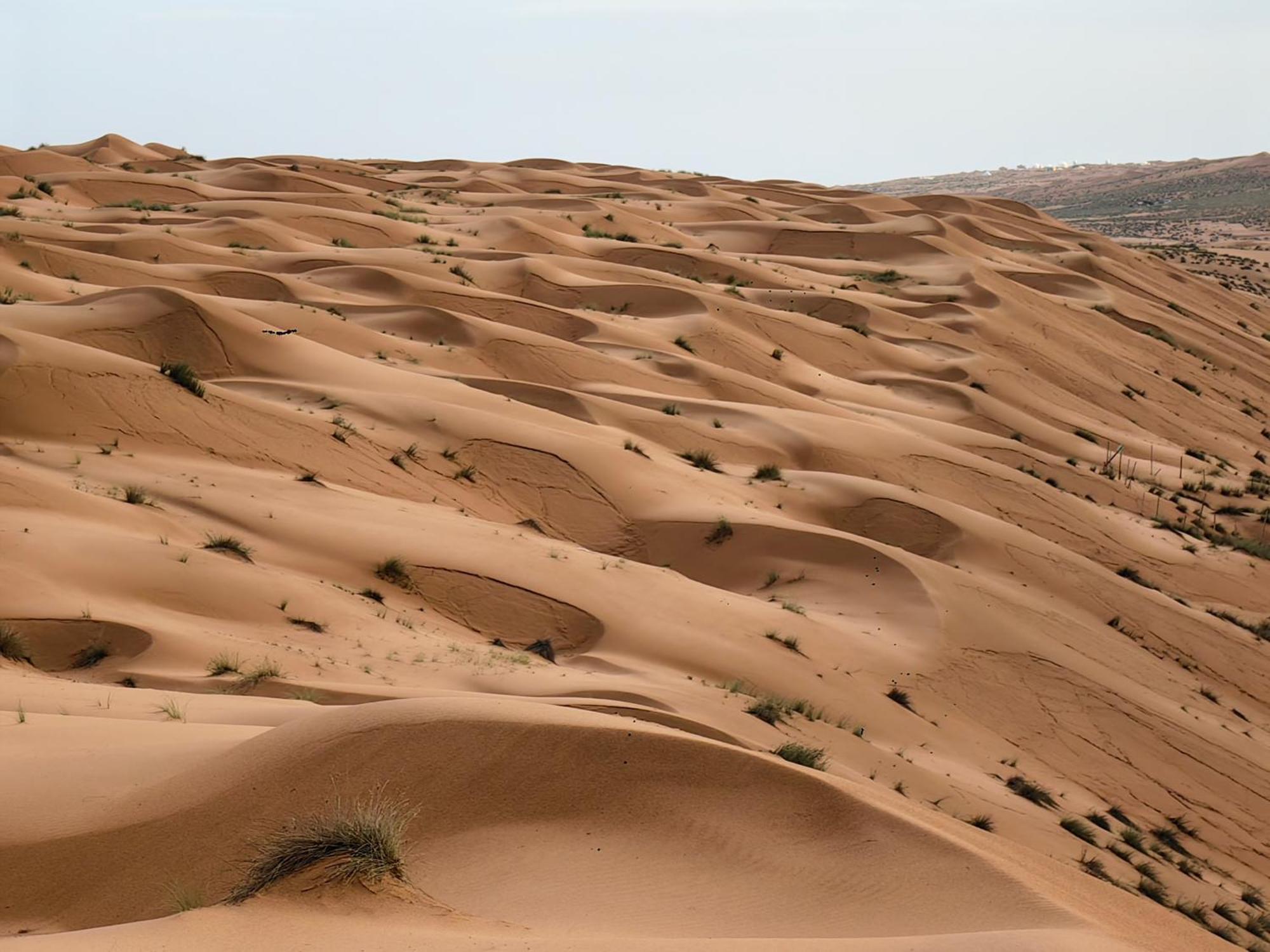 Desert Rose Camp Badīyah Buitenkant foto